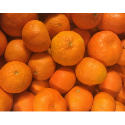 Mandarine bio - 500 gr