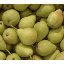 Poire Guyot - 500 gr